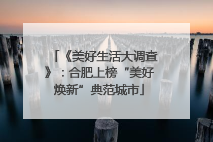 《美好生活大调查》：合肥上榜“美好焕新”典范城市