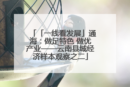「一线看发展」通海：做足特色 做优产业——云南县域经济样本观察之二