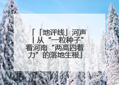 「地评线」河声丨从“一粒种子”看河南“两高四着力”的落地生根