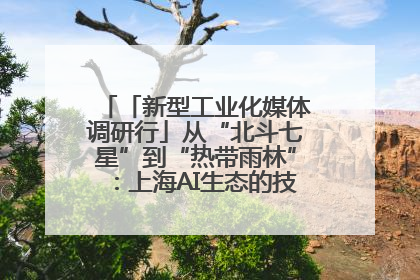 「新型工业化媒体调研行」从“北斗七星”到“热带雨林”：上海AI生态的技术商业共生密码