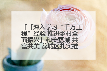 「深入学习“千万工程”经验 推进乡村全面振兴」和美荔城 共富共美 荔城区扎实推进乡村振兴工作