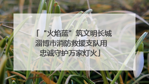 “火焰蓝”筑文明长城 淄博市消防救援支队用忠诚守护万家灯火