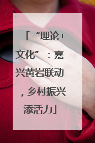 “理论+文化”：嘉兴黄岩联动，乡村振兴添活力