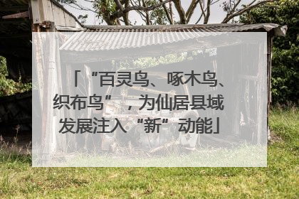 “百灵鸟、啄木鸟、织布鸟”，为仙居县域发展注入“新”动能