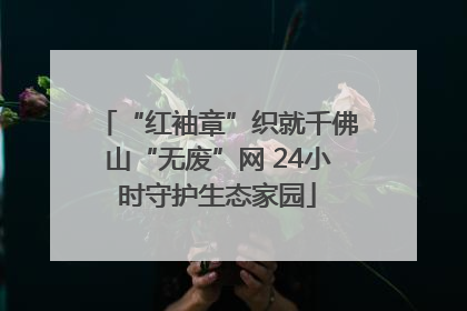 “红袖章”织就千佛山“无废”网 24小时守护生态家园