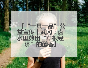 “一县一品”公益宣传丨武冈：卤水里熬出“草根经济”的醇香