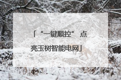 “一键顺控” 点亮玉树智能电网
