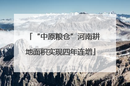 “中原粮仓”河南耕地面积实现四年连增