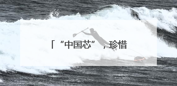“中国芯”，珍惜向上攀登的每一步