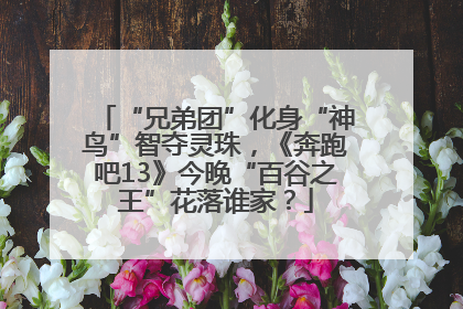 “兄弟团”化身“神鸟”智夺灵珠，《奔跑吧13》今晚“百谷之王”花落谁家？