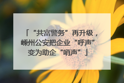 “共富警务”再升级，嵊州公安把企业“呼声”变为助企“哨声”
