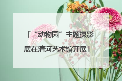 “动物园”主题摄影展在清河艺术馆开展