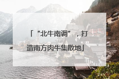“北牛南调”，打造南方肉牛集散地
