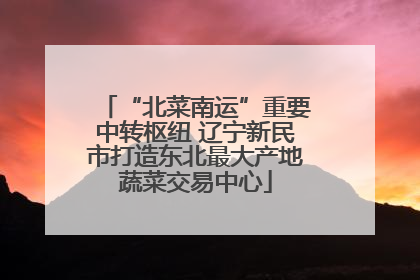 “北菜南运”重要中转枢纽 辽宁新民市打造东北最大产地蔬菜交易中心