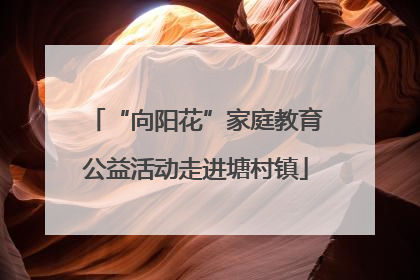 “向阳花”家庭教育公益活动走进塘村镇