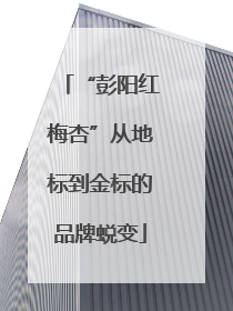 “彭阳红梅杏”从地标到金标的品牌蜕变