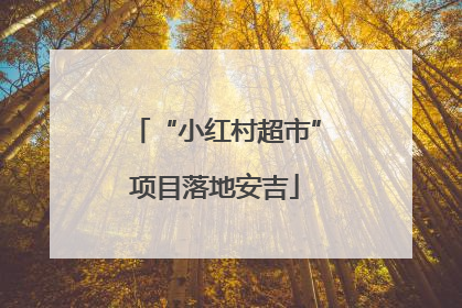 “小红村超市”项目落地安吉