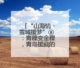 “山海情・雪域援梦”⑧：青稞变金稞，青岛援藏的高原样本