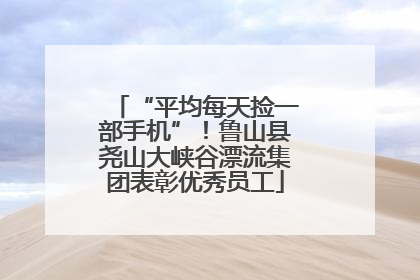 “平均每天捡一部手机”！鲁山县尧山大峡谷漂流集团表彰优秀员工