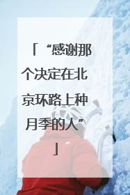 “感谢那个决定在北京环路上种月季的人”