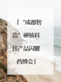 “成都智造”硬核科技产品闪耀西博会