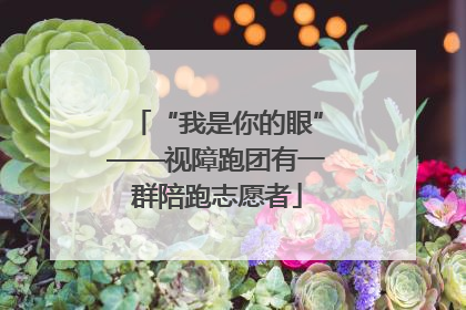 “我是你的眼”——视障跑团有一群陪跑志愿者