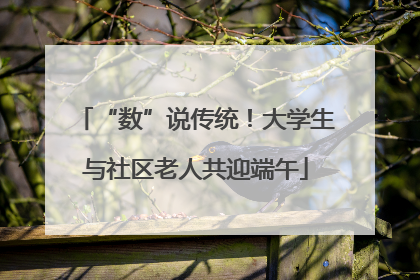“数”说传统！大学生与社区老人共迎端午