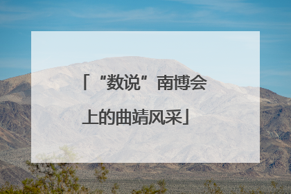 “数说”南博会上的曲靖风采