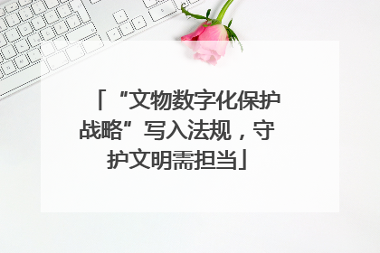 “文物数字化保护战略”写入法规，守护文明需担当