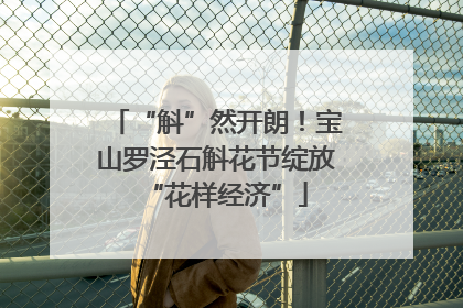 “斛”然开朗！宝山罗泾石斛花节绽放“花样经济”