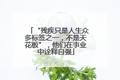 “残疾只是人生众多标签之一，不是天花板”，他们在事业中诠释自强