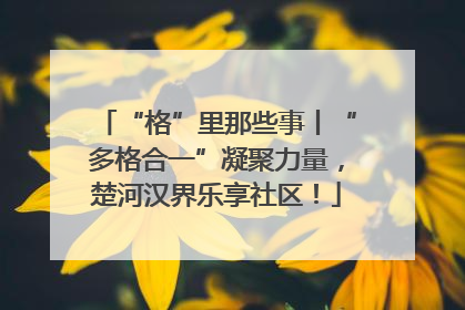 “格”里那些事丨“多格合一”凝聚力量，楚河汉界乐享社区！