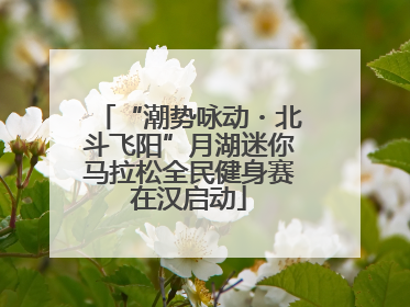 “潮势咏动・北斗飞阳”月湖迷你马拉松全民健身赛在汉启动