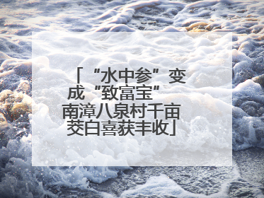 “水中参”变成“致富宝” 南漳八泉村千亩茭白喜获丰收