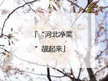“河北净菜”靓起来