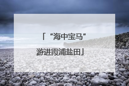 “海中宝马”游进霞浦盐田