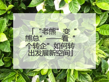 “老熊”变“熊总”——看“个转企”如何转出发展新空间