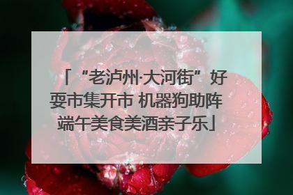 “老泸州·大河街”好耍市集开市 机器狗助阵端午美食美酒亲子乐