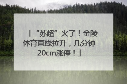 “苏超”火了！金陵体育直线拉升，几分钟20cm涨停！
