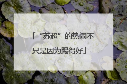 “苏超”的热闹不只是因为踢得好