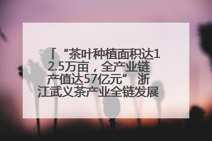 “茶叶种植面积达12.5万亩，全产业链产值达57亿元” 浙江武义茶产业全链发展“加速度”