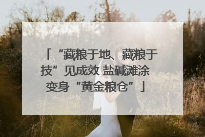 “藏粮于地、藏粮于技”见成效 盐碱滩涂变身“黄金粮仓”