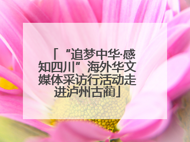 “追梦中华·感知四川”海外华文媒体采访行活动走进泸州古蔺