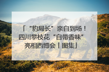 “豹局长”亲自到场！四川攀枝花“自带香味”亮相西博会丨图集
