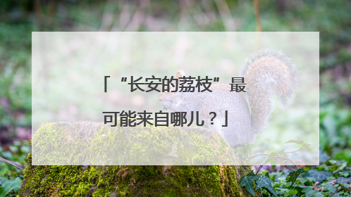 “长安的荔枝”最可能来自哪儿？