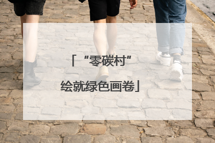 “零碳村” 绘就绿色画卷