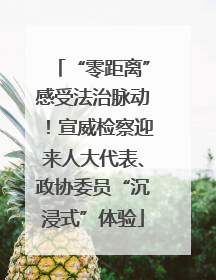 “零距离”感受法治脉动！宣威检察迎来人大代表、政协委员“沉浸式”体验