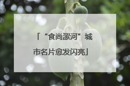 “食尚漯河”城市名片愈发闪亮