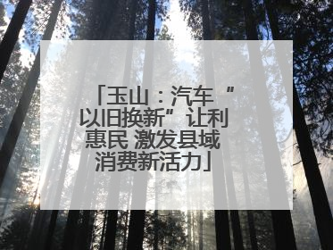 玉山：汽车“以旧换新”让利惠民 激发县域消费新活力