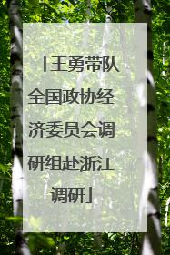 王勇带队全国政协经济委员会调研组赴浙江调研